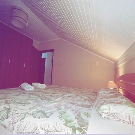 Apartmani Gacic- Šabac エクステリア 写真