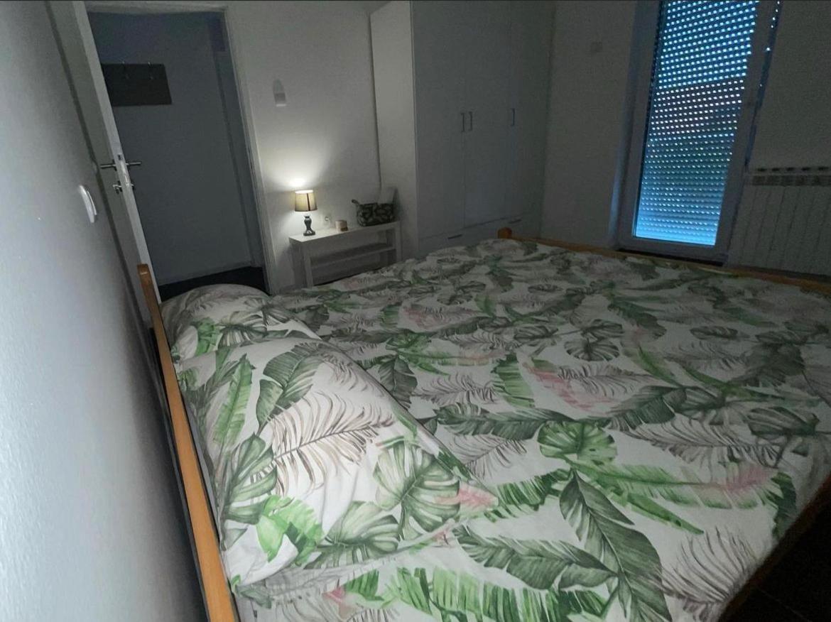 Apartmani Gacic- Šabac エクステリア 写真