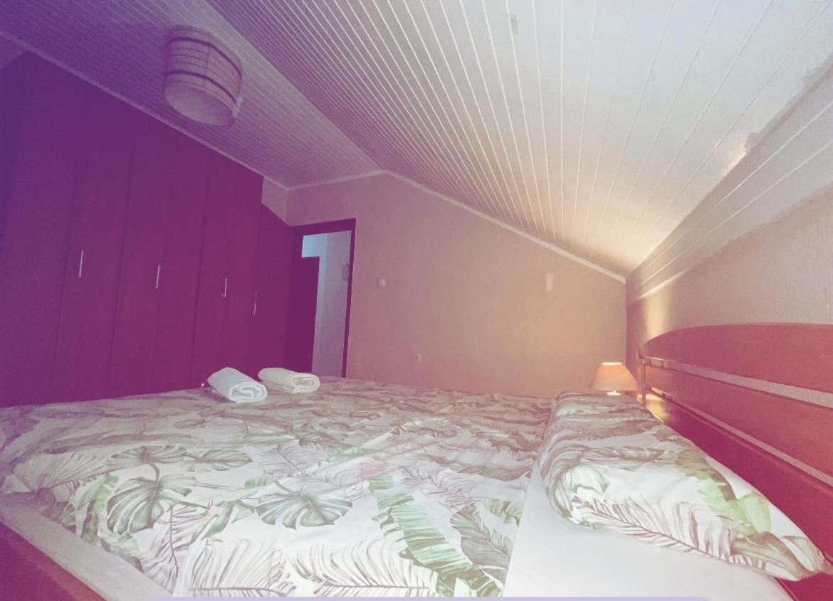 Apartmani Gacic- Šabac エクステリア 写真